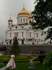 Bear - Cathedral of Christ the Saviour - Moscow  Russia